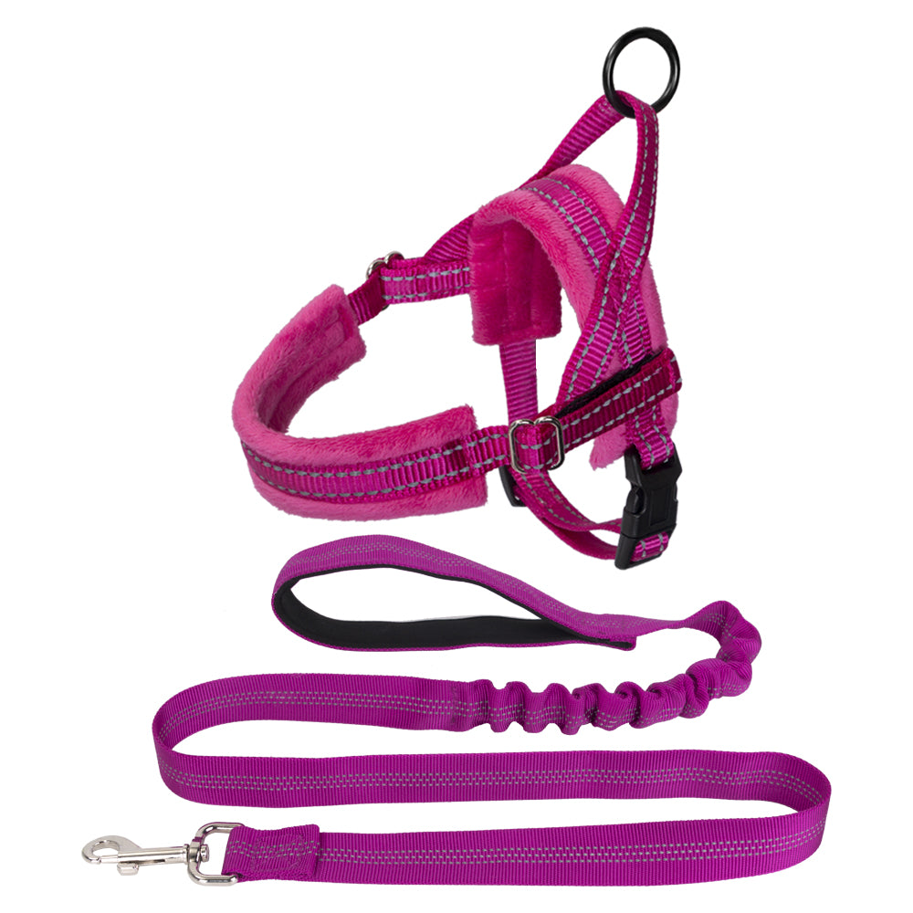 4.Pink Leash Splitter - Lutii matching leash – small dog harness