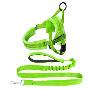 SlowTon No Pull Small Dog Harness and Leash Heavy Duty Easy for Walk Vest Harness Soft Padded Reflective Adjustable Puppy Harness Anti-Twist 4FT Pet Lead Quick Fit for Small Dog Cat Animal