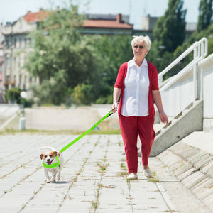 SlowTon No Pull Small Dog Harness and Leash Heavy Duty Easy for Walk Vest Harness Soft Padded Reflective Adjustable Puppy Harness Anti-Twist 4FT Pet Lead Quick Fit for Small Dog Cat Animal