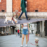 SlowTon No Pull Small Dog Harness and Leash Front Lead Walk Vest Harness Soft Padded Reflective Adjustable Puppy Harness Anti-Twist 4FT Pet Lead Quick Fit for Small Dog Cat Animal