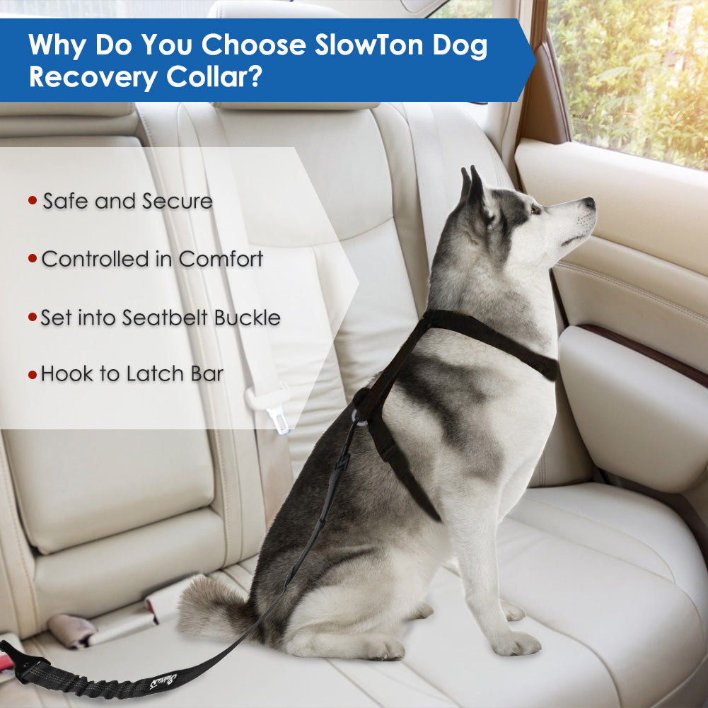 SlowTon Dog Seat Belt Adjustable Dog Safety Belt Leash 2 in 1 Latch Bar Attachment Dog Car Seatbelt with Elastic Nylon Bungee BufferReflective Nylon Belt Tether Connect to Dog Harness