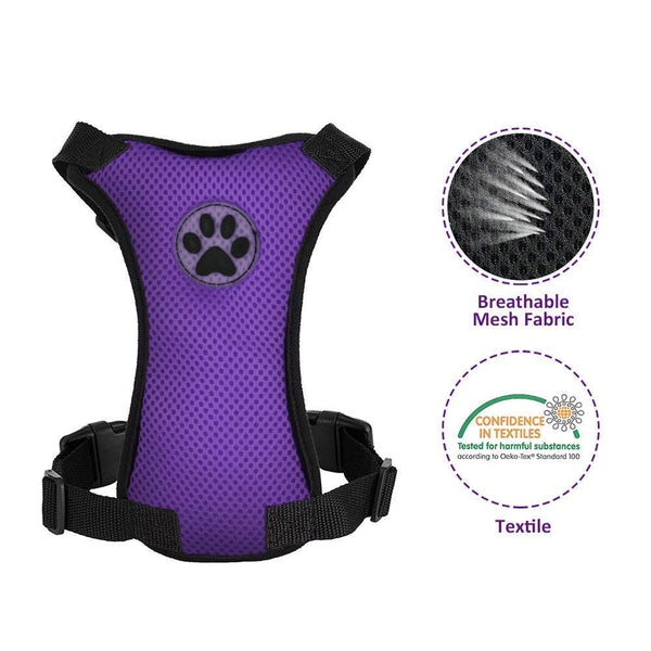 Small Dog Harness and Leash - Fuchsia – Slowtonglobal