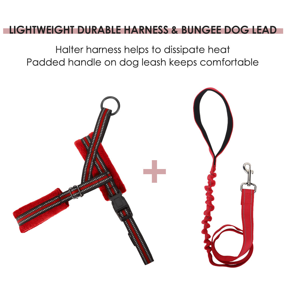 SlowTon No Pull Small Dog Harness and Leash Heavy Duty Easy for Walk Vest Harness Soft Padded Reflective Adjustable Puppy Harness Anti-Twist 4FT Pet Lead Quick Fit for Small Dog Cat Animal