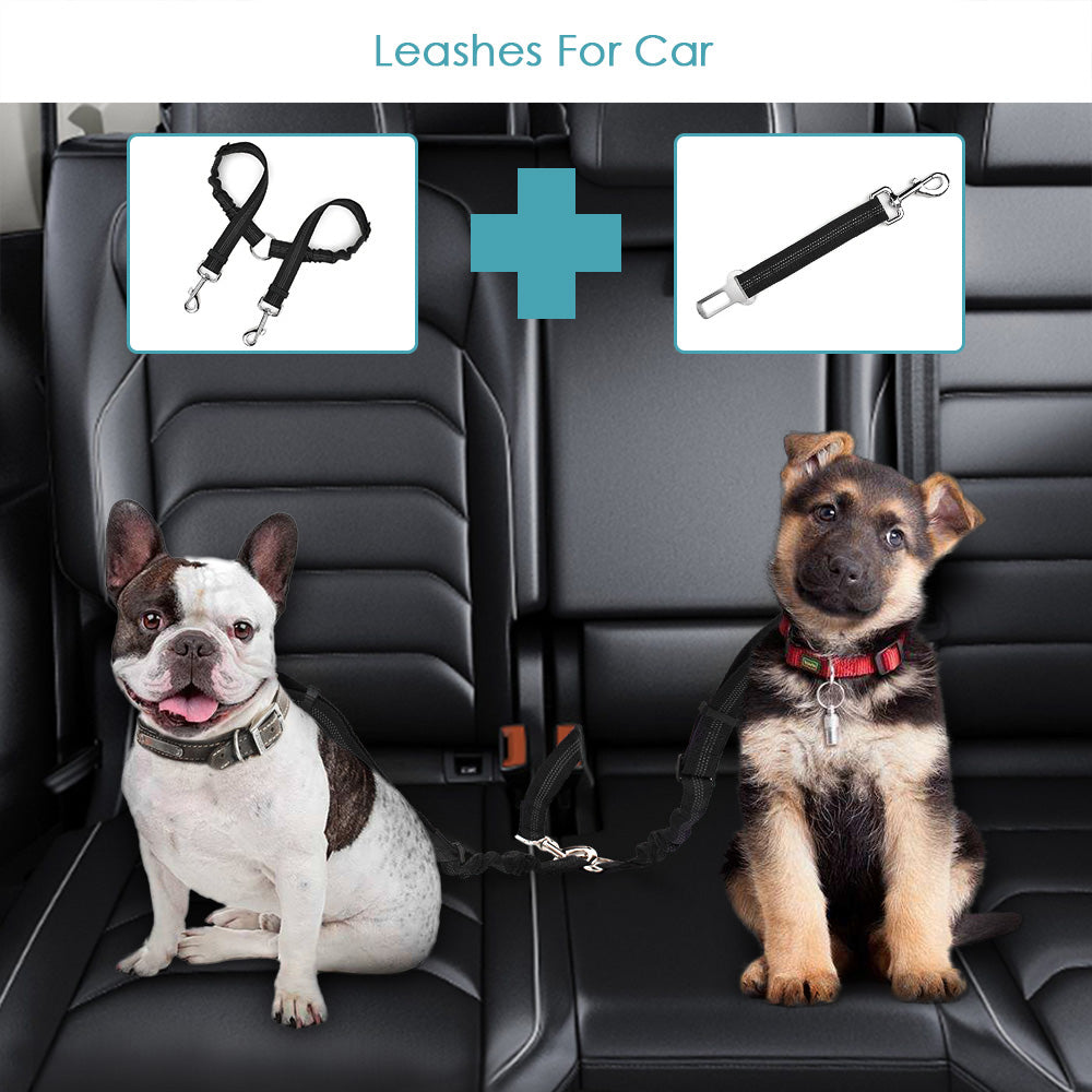 in Double Dog Leash Car Seat Belt Black