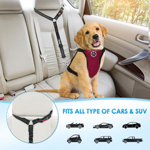 Dog Car Harness & Seat Belt - Red – Slowtonglobal