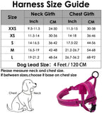 Small Dog Harness and Leash - Fuchsia – Slowtonglobal