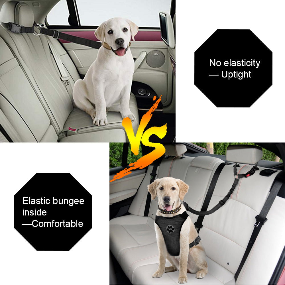  2PET Dog Seat Belt Strap Adjustable - Dog Car Seatbelt for All  Dog Breeds & Sizes - Fits Seatbelt Latches of Most Car Makes Buckles- 21  to 32 Dog Seatbelt –