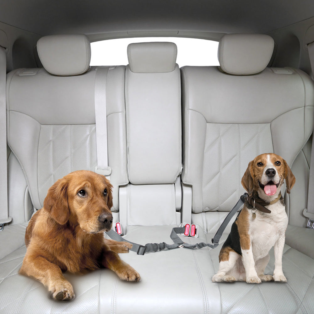 Double Dog Car Seatbelt Grey