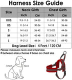 SlowTon No Pull Small Dog Harness and Leash Heavy Duty Easy for Walk Vest Harness Soft Padded Reflective Adjustable Puppy Harness Anti-Twist 4FT Pet Lead Quick Fit for Small Dog Cat Animal 