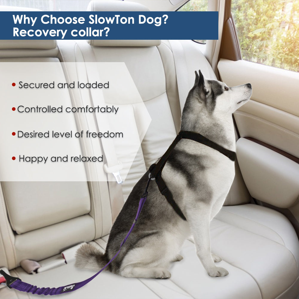 SlowTon 2 Pack Dog Seat Belt, 2 in 1 Attachment, Hook Latch Bar or Seatbelt Buckle with Elastic Nylon Bungee Buffer Adjustable Reflective Nylon Safety Belt Tether Connect to Dog Harness