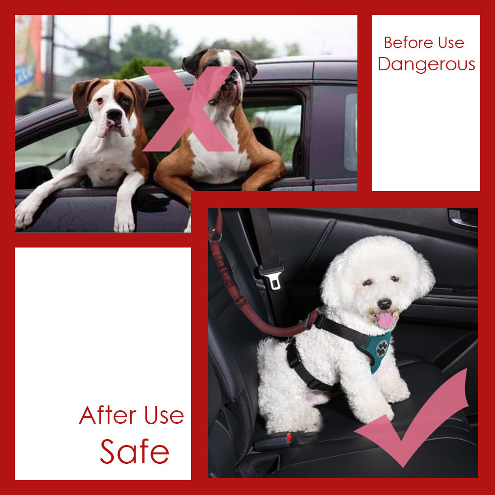 SlowTon Dog Seatbelt 2 Pack Pet Car Seatbelt Headrest Restraint Adjustable Puppy Safety Seat Belt Reflective Elastic Bungee Connect Dog Harness in Vehicle Travel Daily Use 