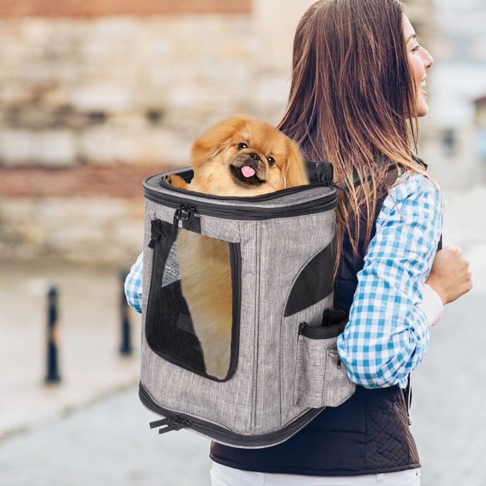 SlowTon Pet Carrier Backpack Airline Approved Small Dog Cat Foldable Carrier 4 Mesh Windows Puppy Carrying Case with Safety Hook Side Pockets Up to 16lbs for Travel Outdoor Use